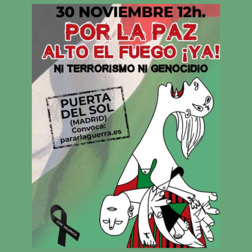 #AltoElFuegoYa: La Red de ONGD de Madrid se une a la conmemoración del Día Internacional de la Solidaridad con el Pueblo Palestino